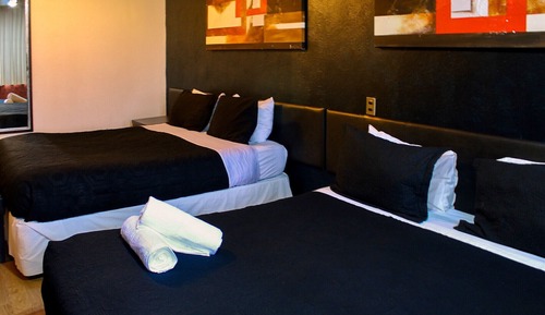 Basic Twin Room