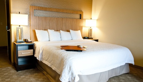 Room, 1 King Bed