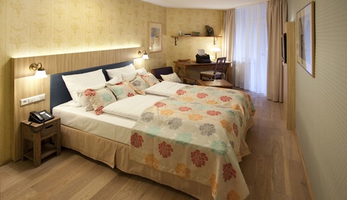 Comfort Double Room, 1 Double Bed