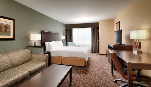 Room, 1 King Bed with Sofa bed