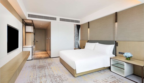 King Accessible Room