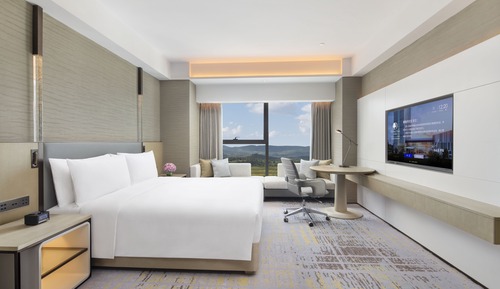 King Guest Room