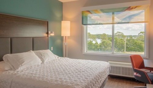 Room, 1 King Bed