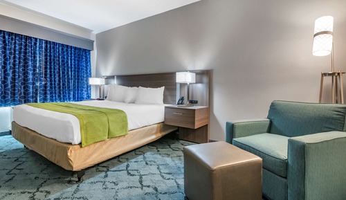 Standard Room, 1 King Bed, Accessible, Refrigerator & Microwave