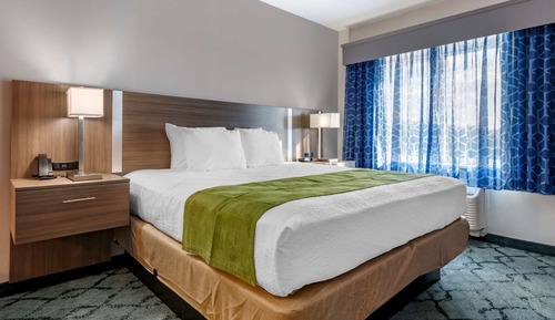 Standard Room, 1 King Bed, Non Smoking, Refrigerator & Microwave