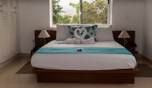 Room, 1 Twin Bed