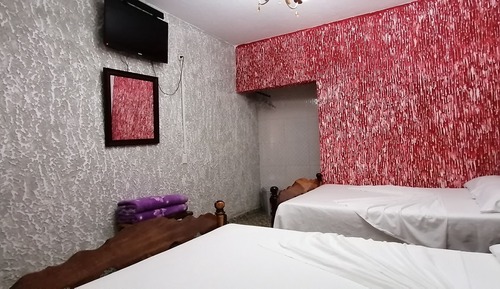 Comfort Quadruple Room