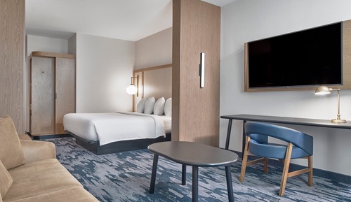 Suite, 1 King Bed with Sofa bed
