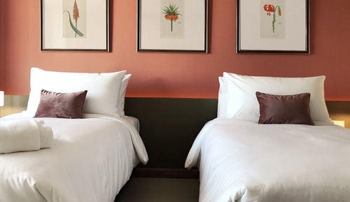 Superior Twin Room