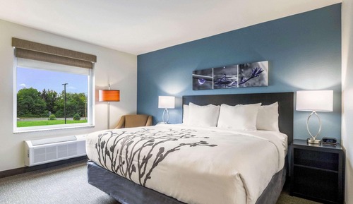 Room, 1 King Bed, Accessible, Non Smoking