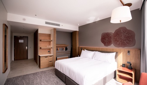 Standard Room, 1 King Bed, Accessible