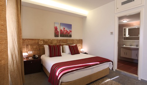 Premium Suite ( Double )