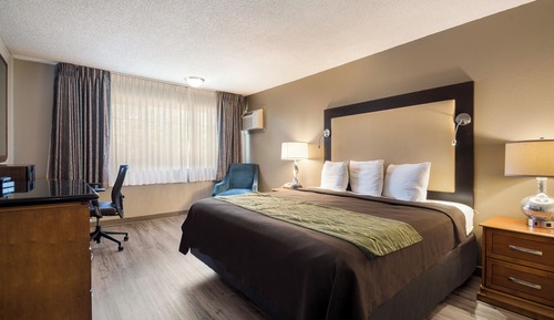 Standard Room, 1 King Bed, Non Smoking