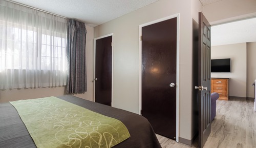 Suite, 1 King Bed with Sofa bed, Non Smoking (Efficiency)
