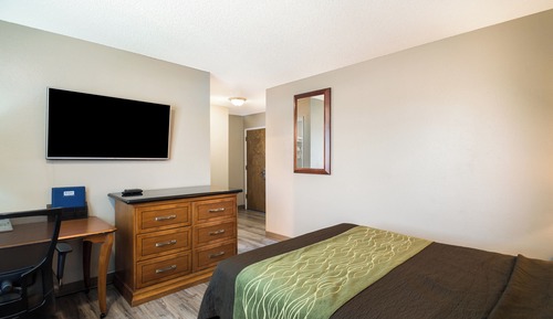 Standard Room, 1 Queen Bed, Non Smoking