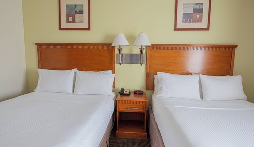 Studio Suite, 2 Queen Beds