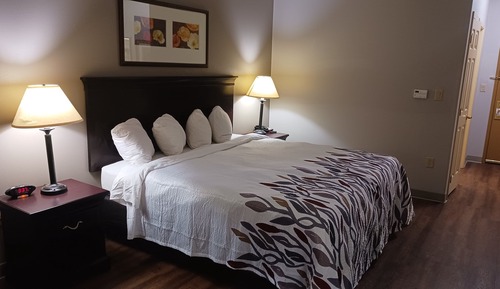 Superior Room, 1 King Bed, Non Smoking (Roll-In Shower)