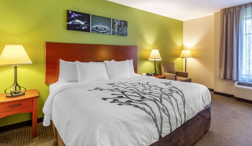 Standard Room, 1 King Bed, Non Smoking