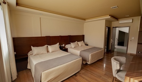 Executive Single Room, 1 Double Bed
