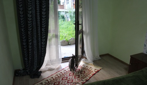 Deluxe Double or Twin Room, Multiple Bedrooms, Mountain View