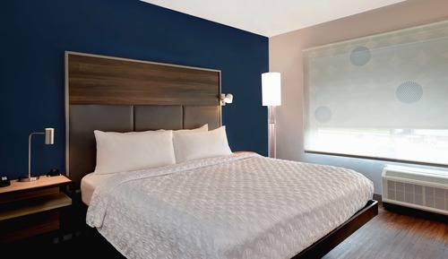 Room, 1 King Bed