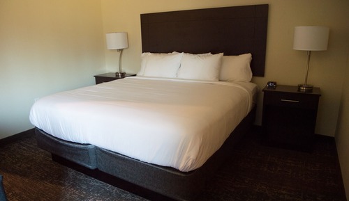Single King Suite, Accessible Shower, Non Smoking