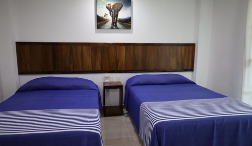 Basic Double Room, 2 Double Beds