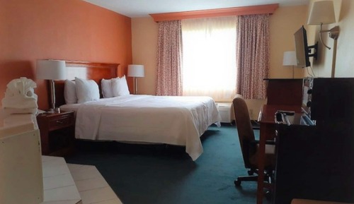 Room, 1 King Bed, Non Smoking
