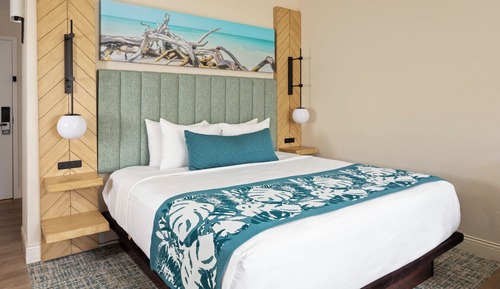 Standard Room, 1 King Bed, Roll-in Shower