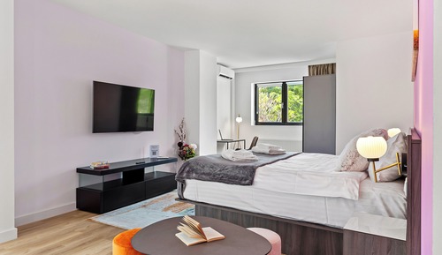 Deluxe Double or Twin Room