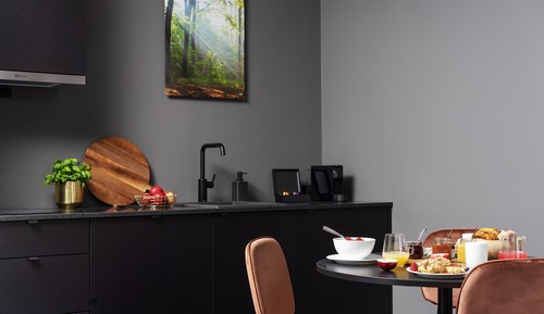 Executive Studio / Family Room with Kitchen