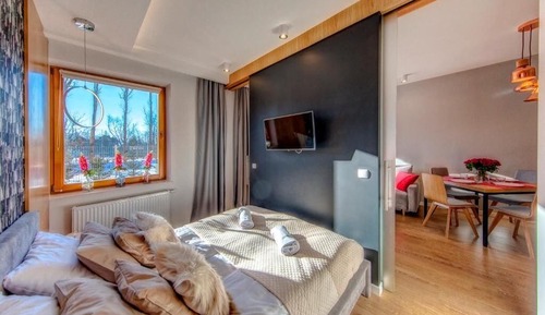 Deluxe Apartment (012 with SPA, Pool access)