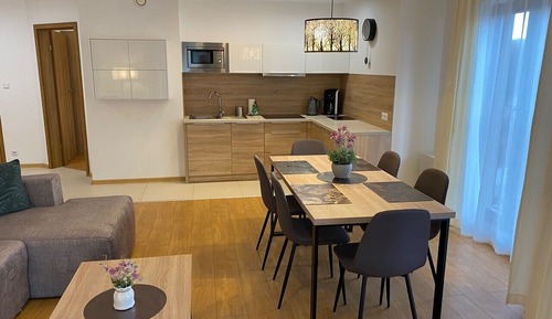 Comfort Apartment