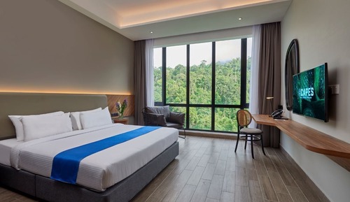 Deluxe King Room