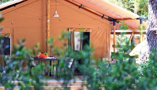 Superior Tent, 3 Bedrooms (Pet Friendly)