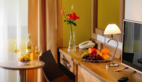 Business Twin Room