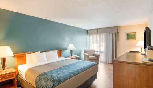 Standard Room, 1 King Bed, Non Smoking