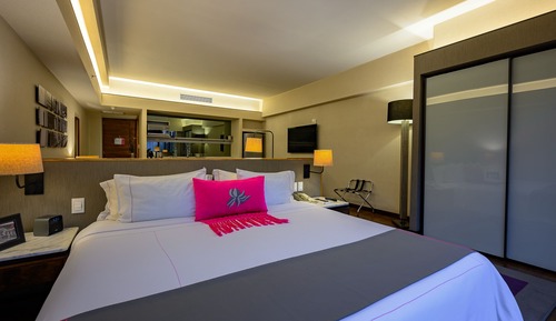 Executive Suite, 1 King Bed