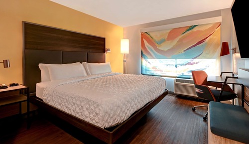 Room, 1 King Bed