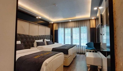 Suite, Mountain View