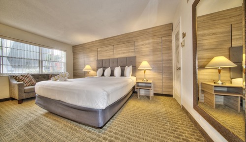 Deluxe Studio, 1 King Bed, Kitchen