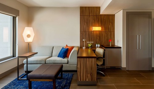 Room, 1 King Bed with Sofa bed