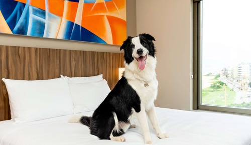 Room, 2 Twin Beds (No Sofa Bed)