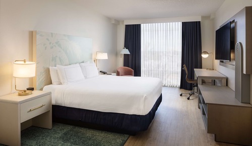 Room, 1 King Bed