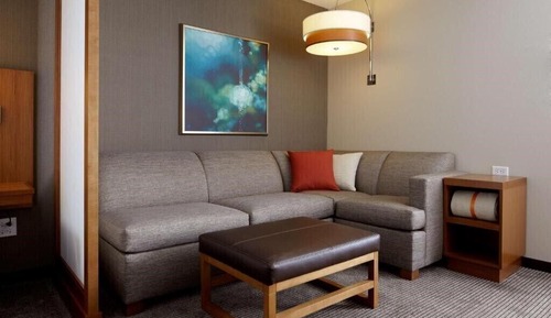 Suite, 1 King Bed with Sofa bed
