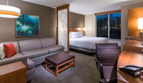 Room, 1 King Bed with Sofa bed (High Floor)