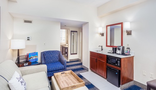 Suite, 1 King Bed with Sofa bed