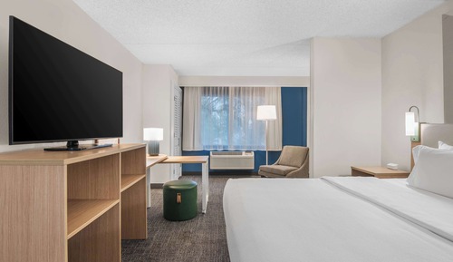 Room, 1 King Bed, Accessible, Bathtub (Mobility, Hearing)