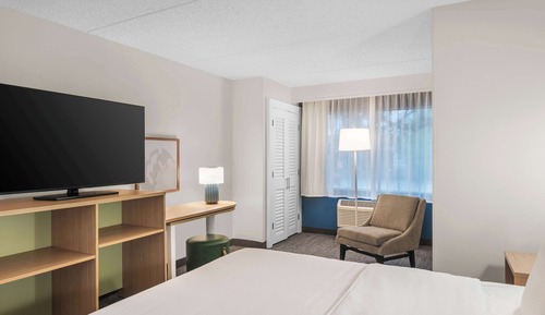 Room, 1 King Bed, Non Smoking