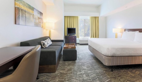 Suite, 1 King Bed with Sofa bed, Non Smoking (Hearing Accessible)